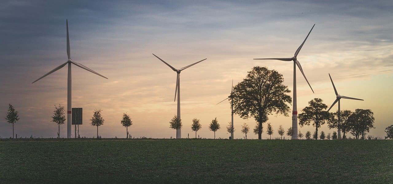 Wind turbines and trees