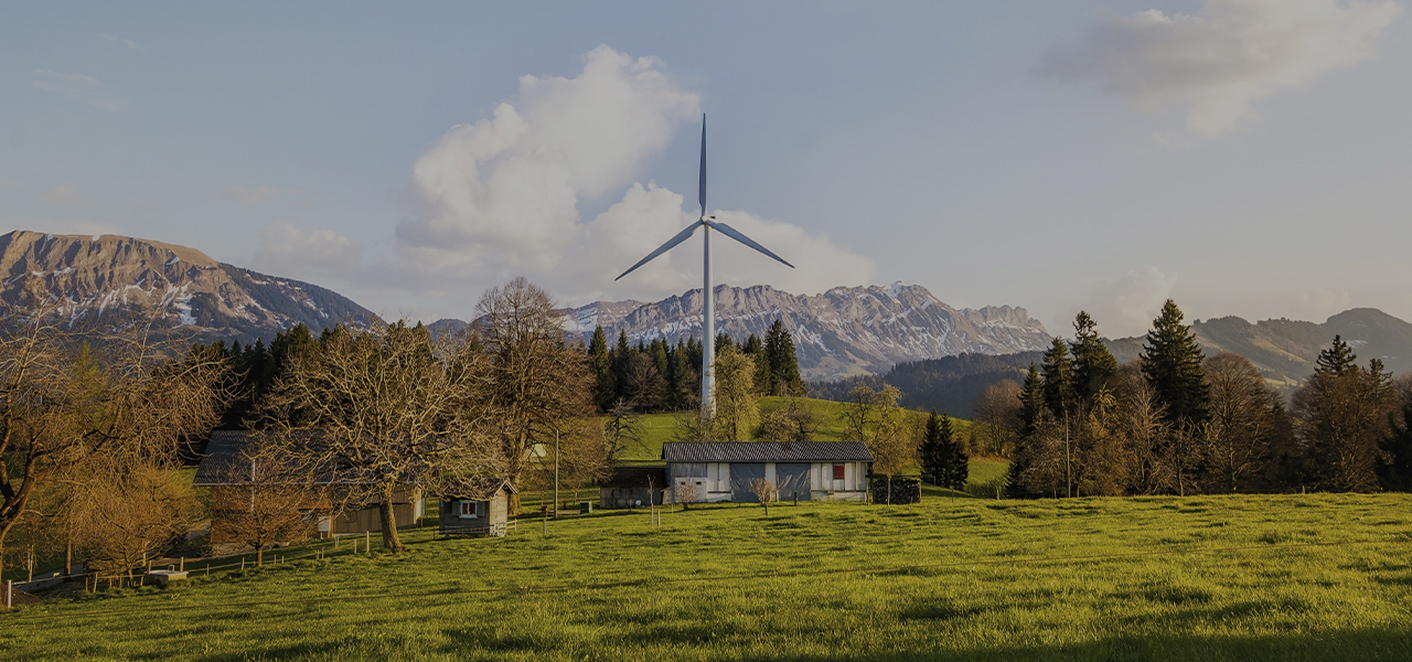 Windmill mountains trees